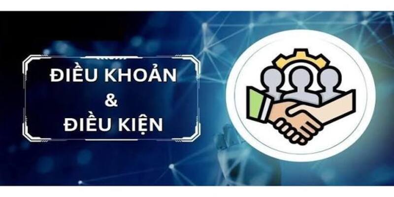 Điều khoản điều kiện khi truy cập, dùng dịch vụ của Thomohomnay