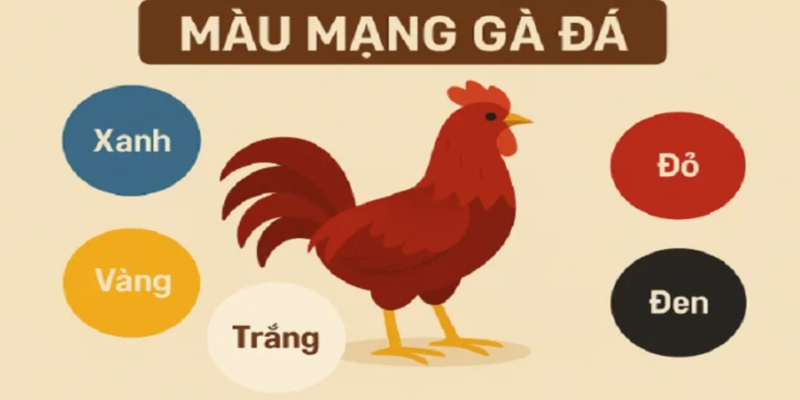 Cách xem màu mạng gà đá hôm nay để chọn chiến kê hợp phong thủy 1 Cách tra cứu bảng sinh khắc để biết màu mạng gà đá hôm nay thịnh suy